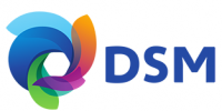logo_dsm-1-313x220